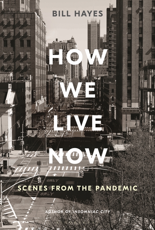 How We Live Now: Scenes from the Pandemic (Hardcover)