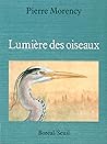 Lumière des oiseaux