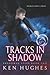 Tracks In Shadow (Shadowed Steps)