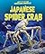Japanese Spider Crab - Non-...
