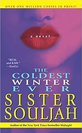 The Coldest Winter Ever (The Coldest Winter Ever, #1)