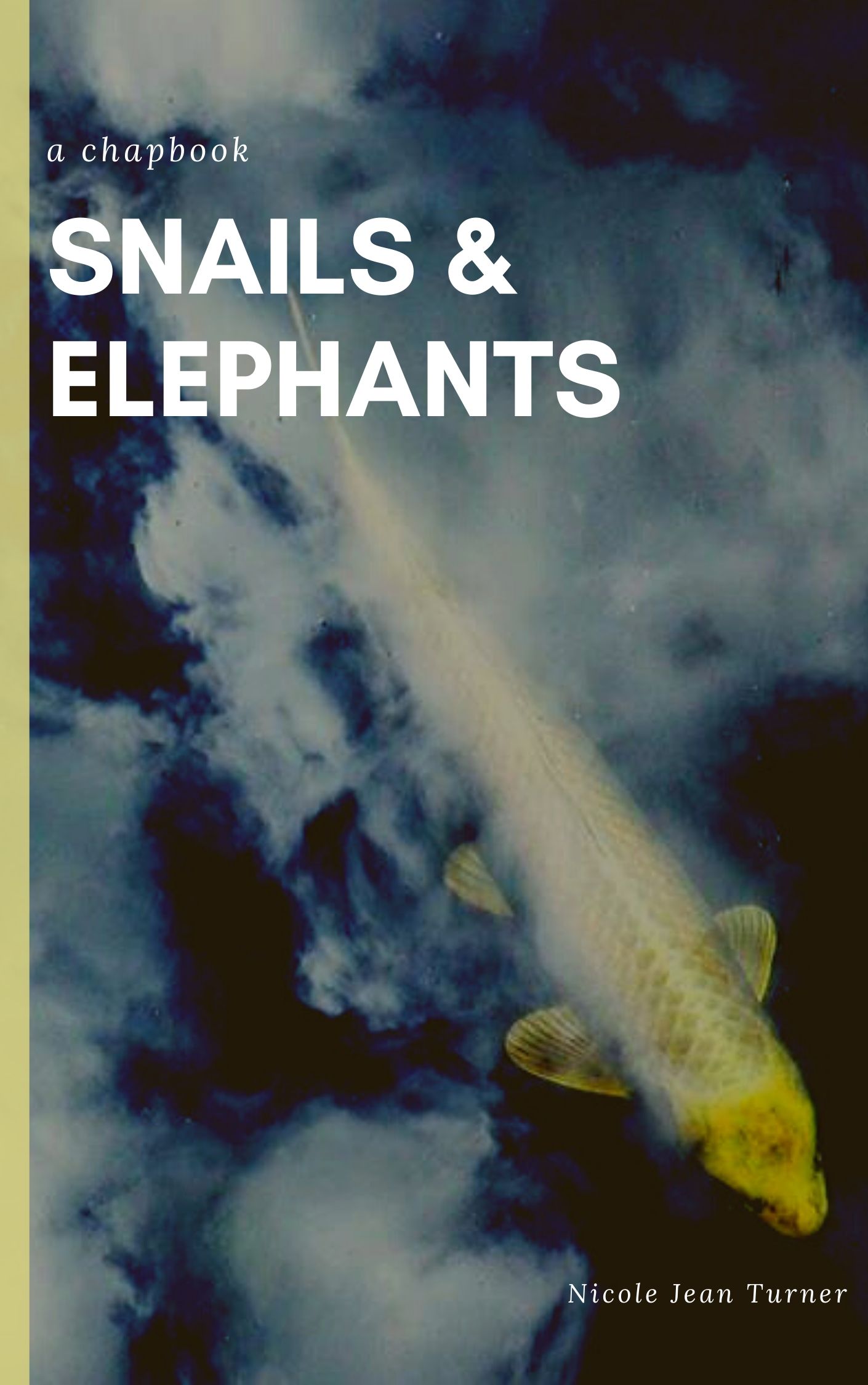 Snails & Elephants
