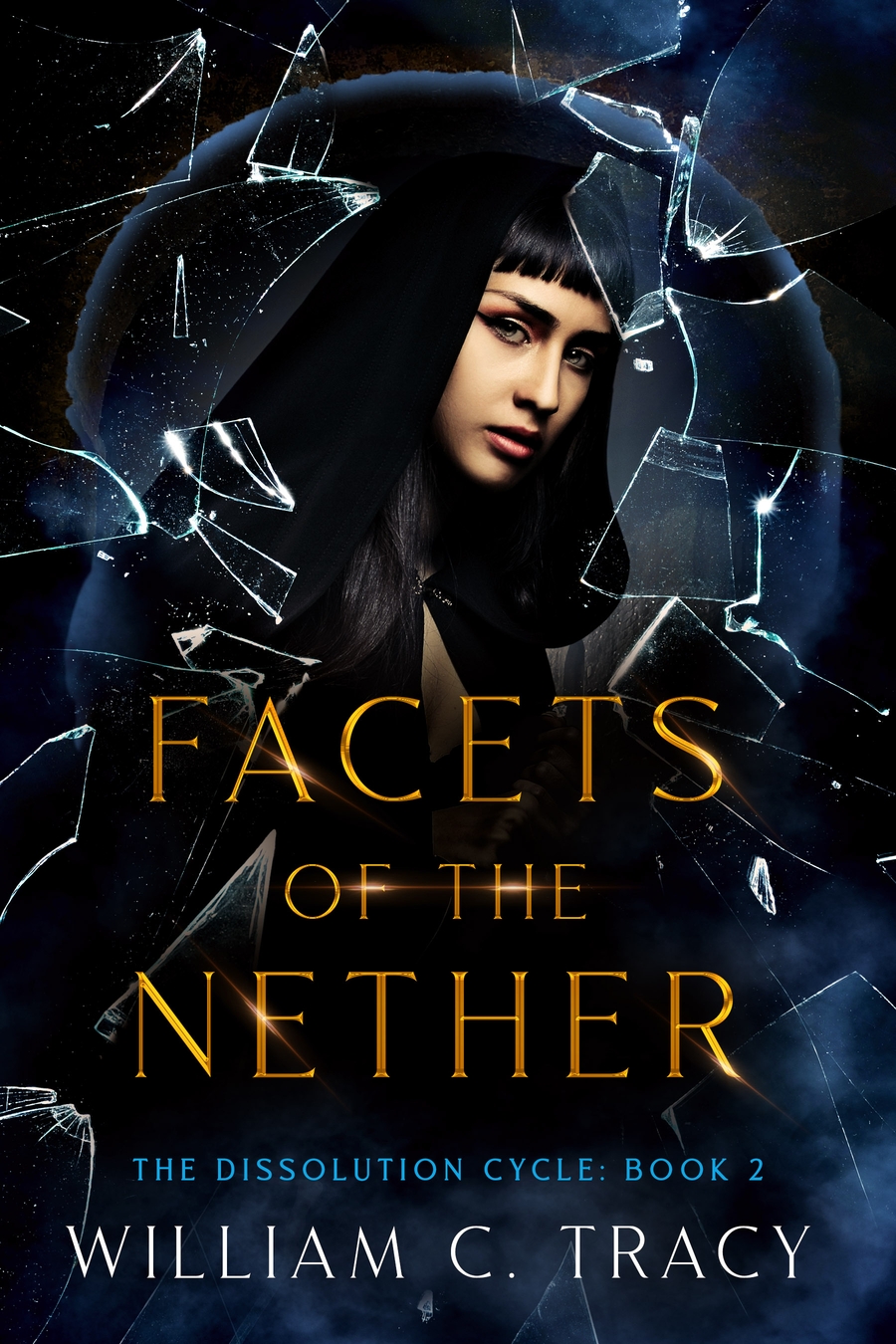 Facets of the Nether (Dissolution Cycle, #2)