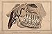 Image for At the Clinic