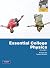 Essential College Physics, ...
