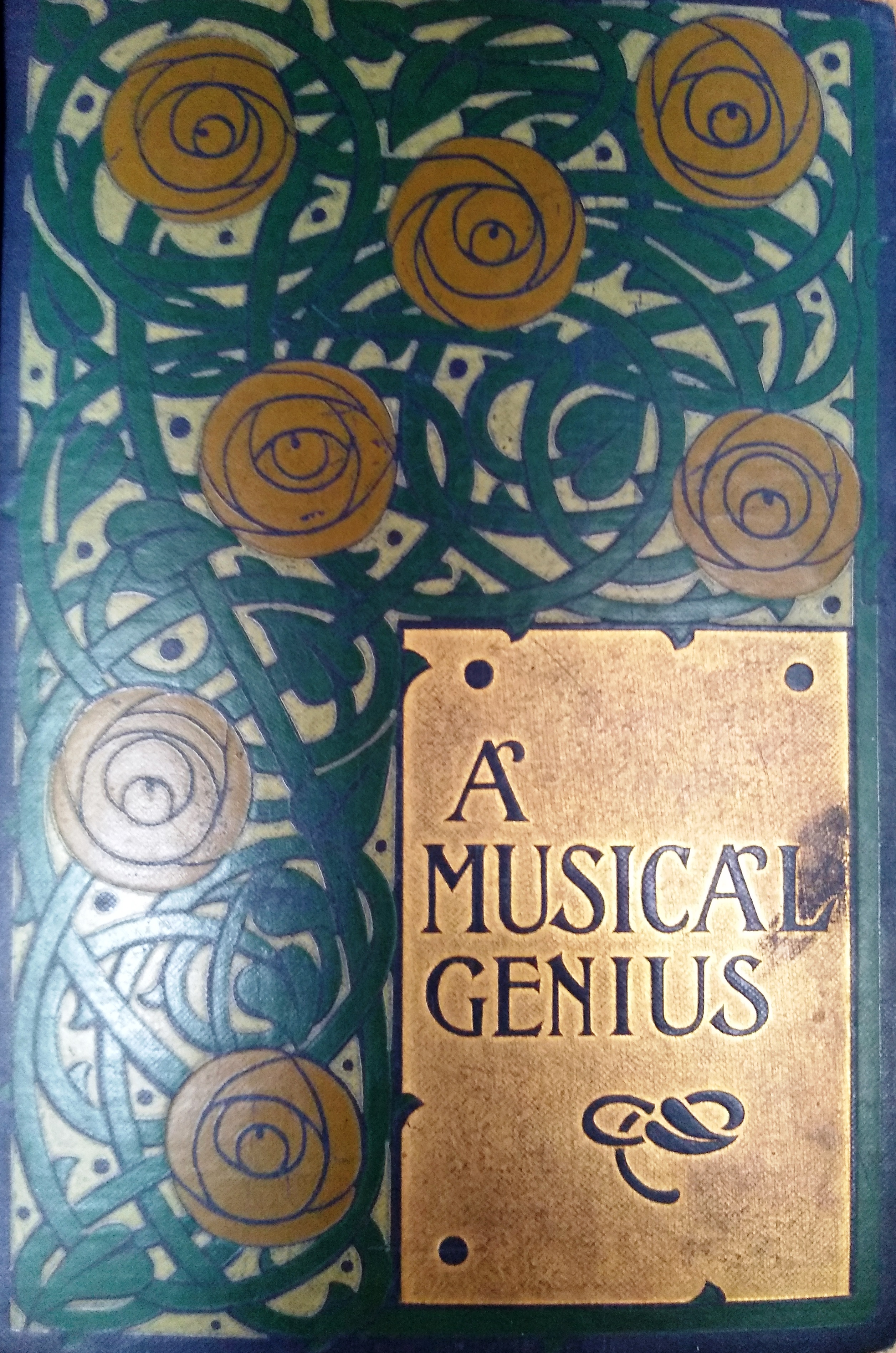 A Musical Genius (Hardcover)