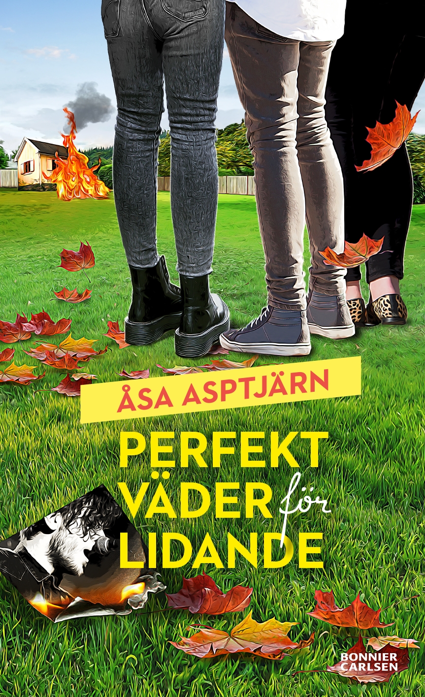 Perfekt väder för lidande (Paperback)