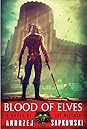 Blood of Elves by Andrzej Sapkowski