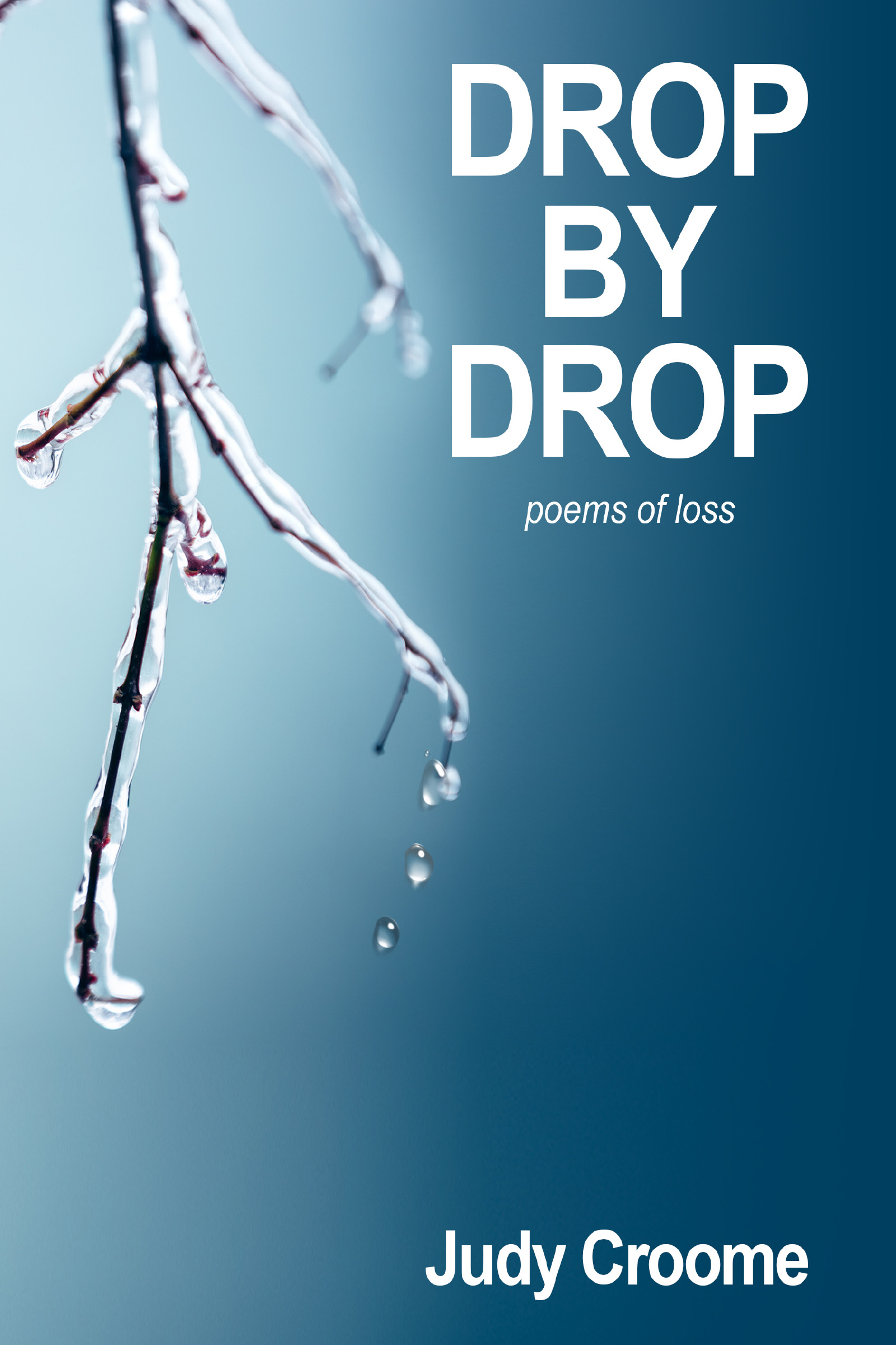Drop by Drop (poems of loss)