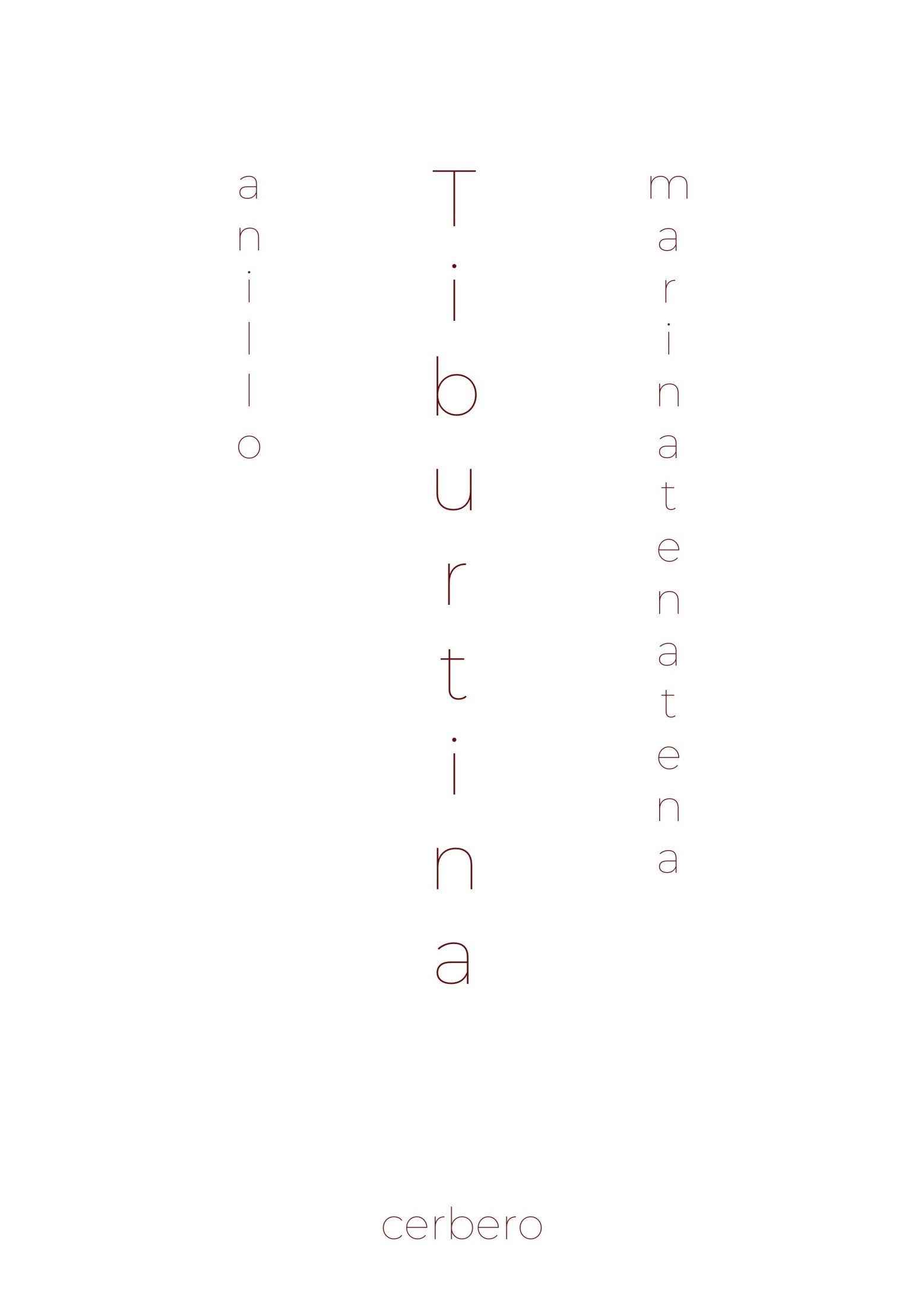 Anillo: Quien no descansa (Tiburtina #12)