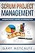 Scrum Project Management: Avoiding project mishaps: an introduction