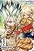 Dr.STONE 11 (Dr. Stone, #11)