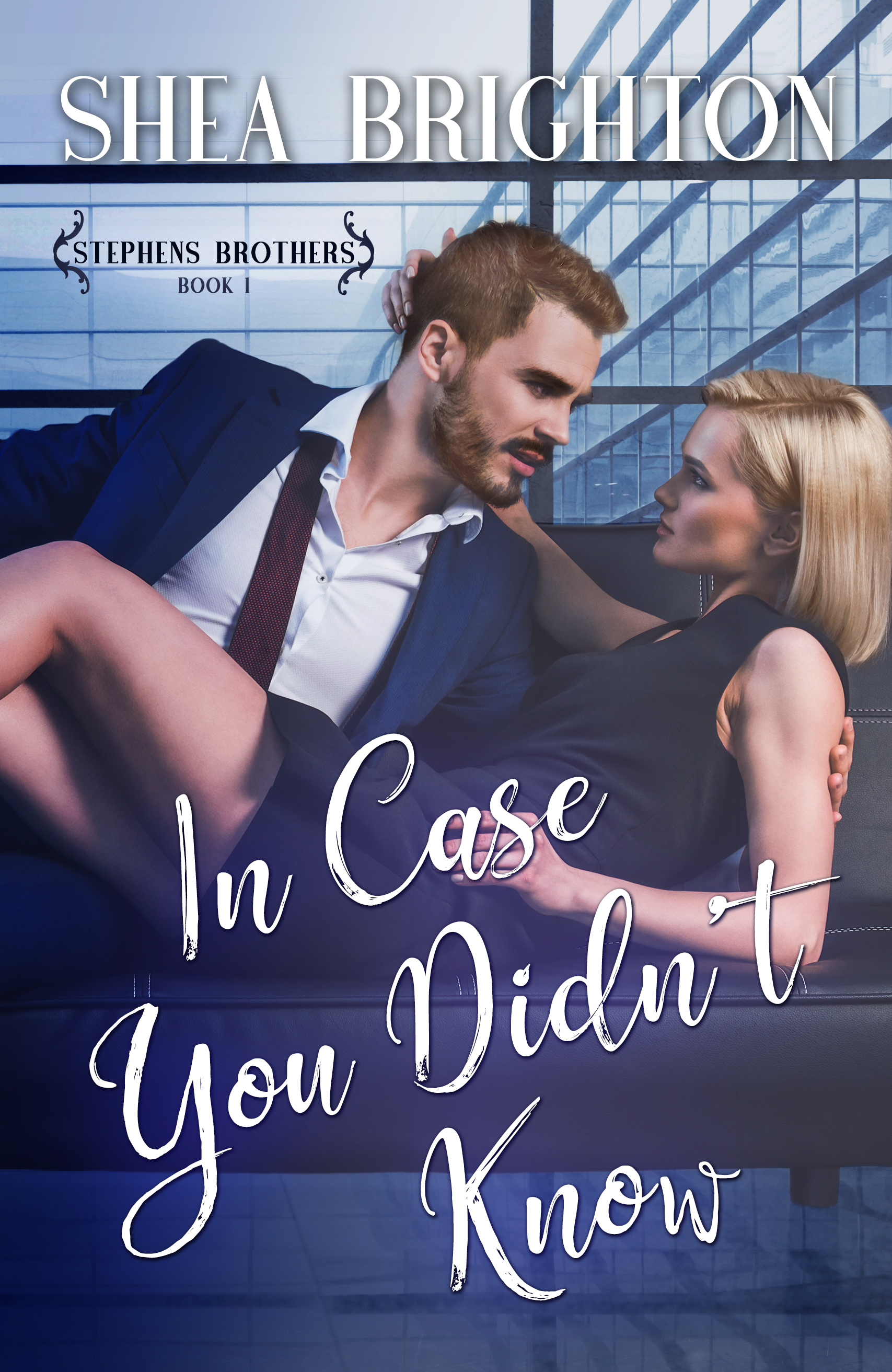 In Case You Didn't Know (Stephens Brothers #1)