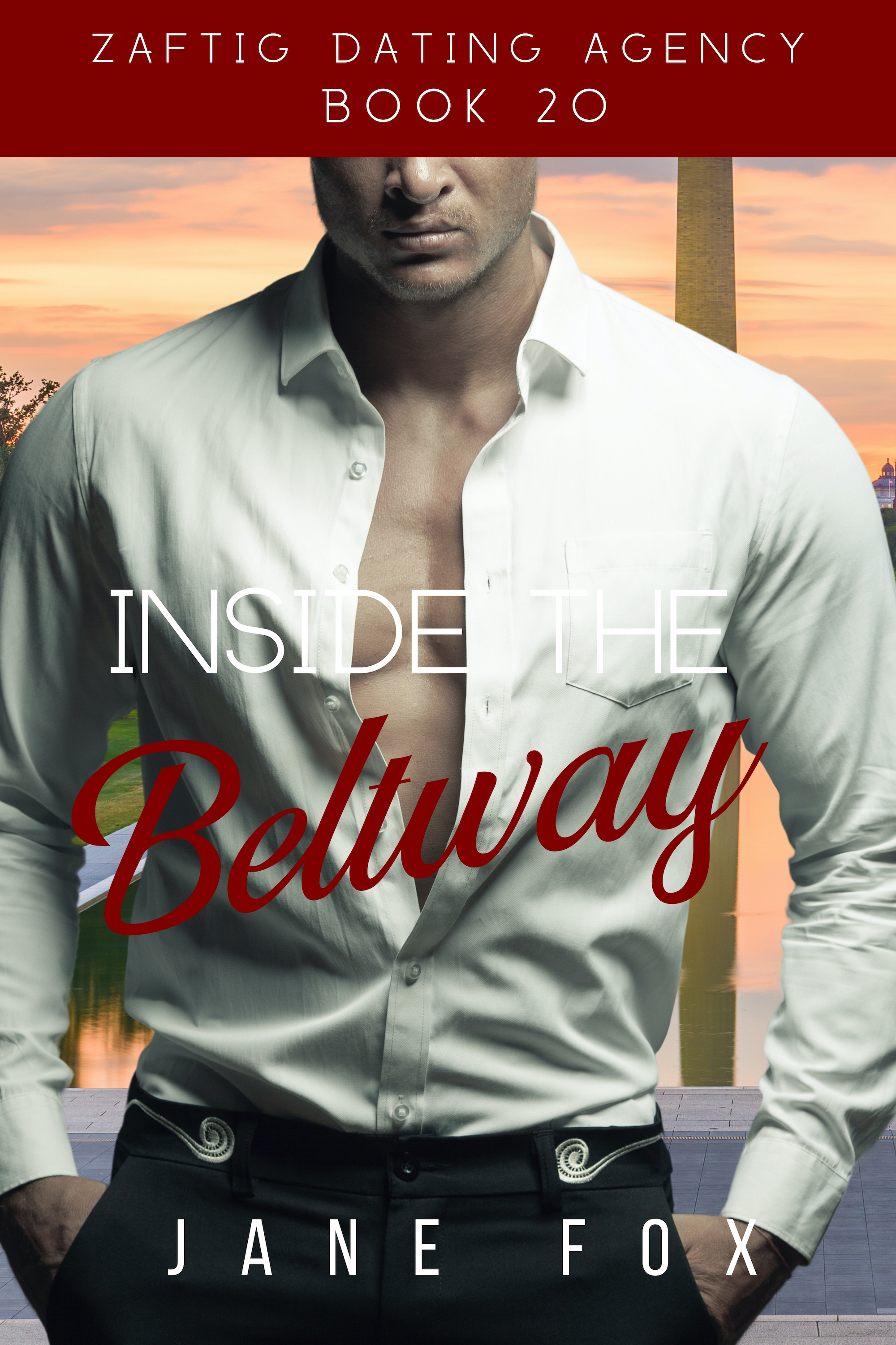 Inside the Beltway (Zaftig Dating Agency, #20)