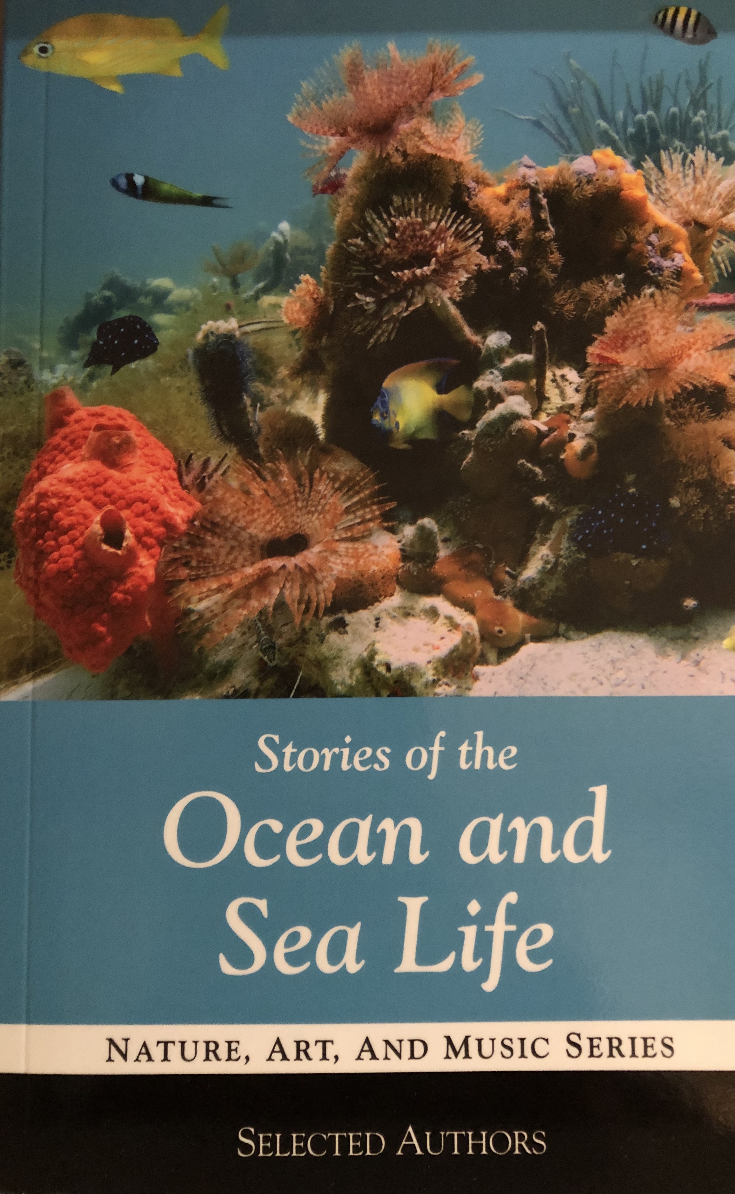 Stories of the Ocean (Nature, Art & Music Series, #3)