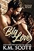 Big Love (Finding The One Book 2)