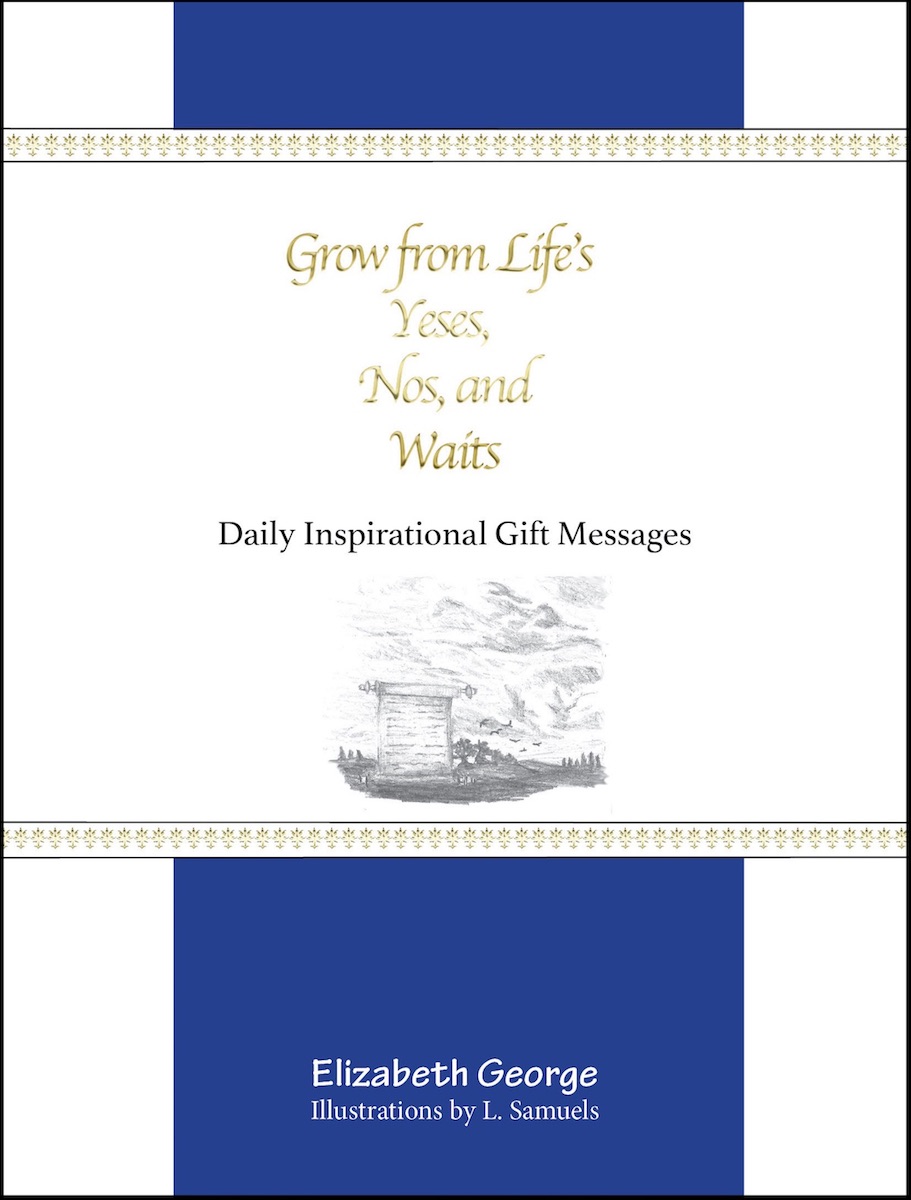 Grow from Life's Yeses, Nos, and Waits: Daily Inspirational Gift Messages