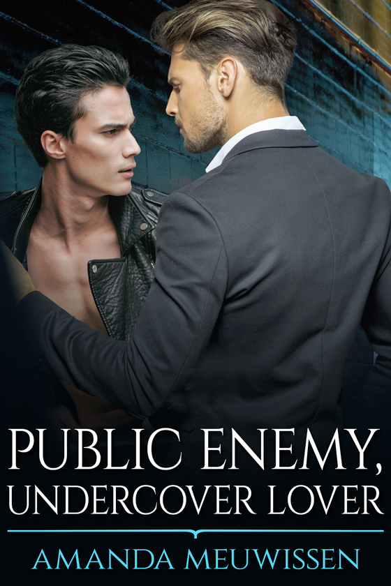 Public Enemy, Undercover Lover (Kindle Edition)