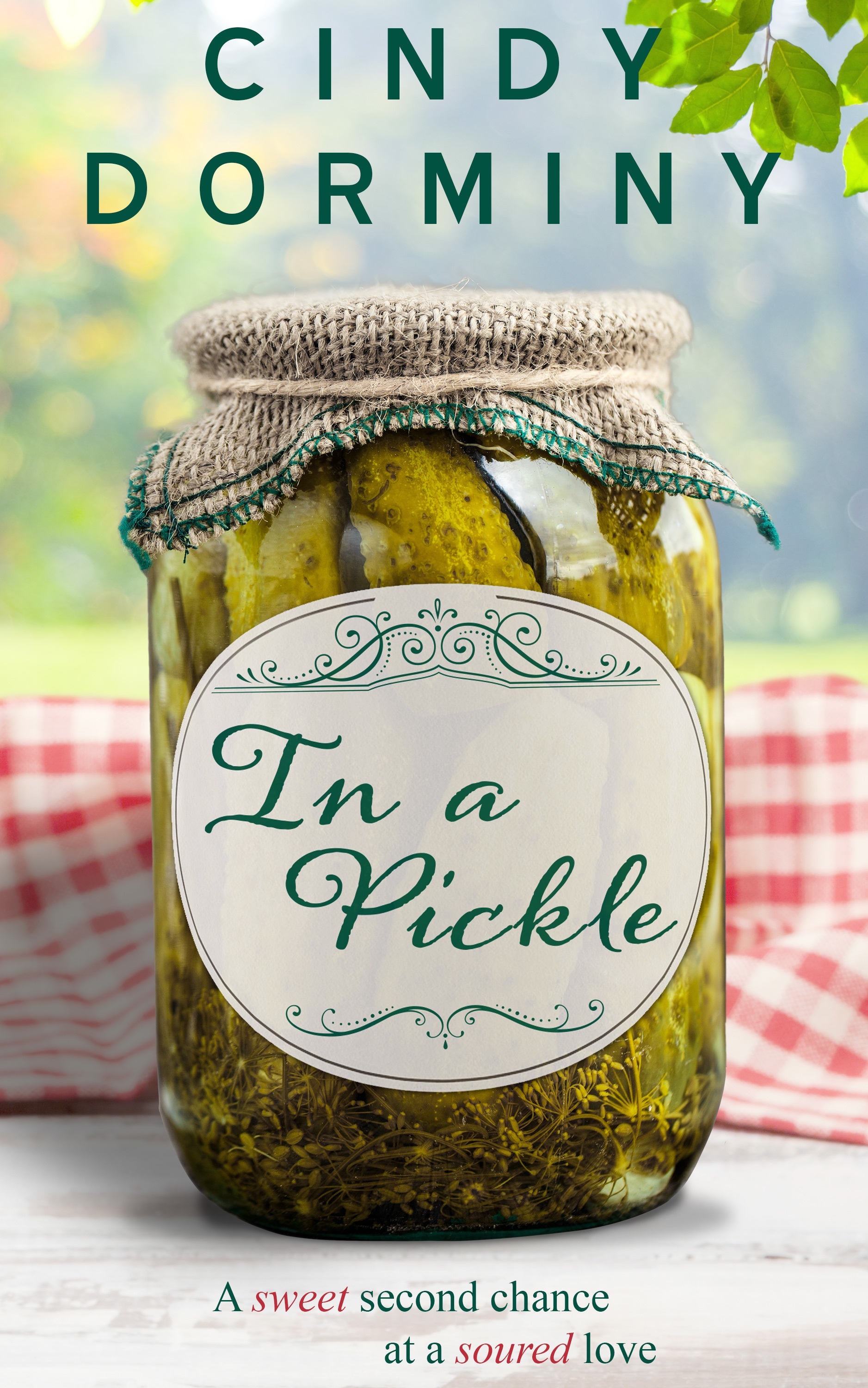 In a Pickle (Small Town Trouble #2)