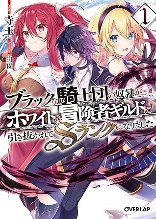 ブラックな騎士団の奴隷がホワイトな冒険者ギルドに引き抜かれてsランクになりました 1 By 寺王