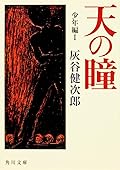 天の瞳 少年編 1