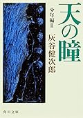 天の瞳 少年編 2