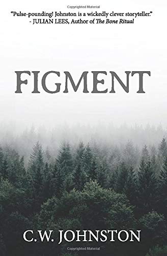 Figment (Paperback)