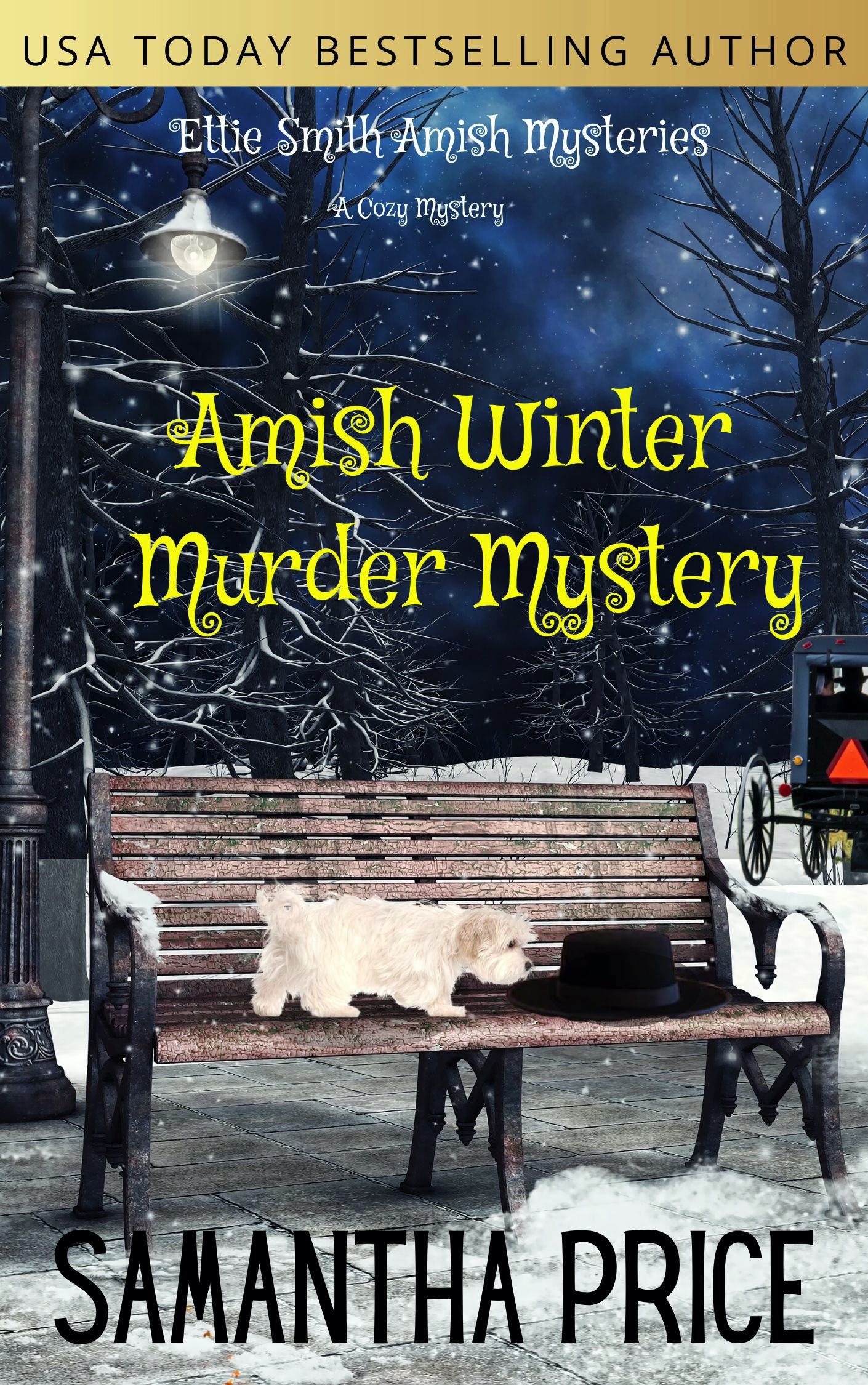 Amish Winter Murder Mystery (Ettie Smith Amish Mysteries #19)