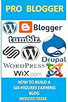 PRO BLOGGER: How To Build A Six-Figures Earning Blog