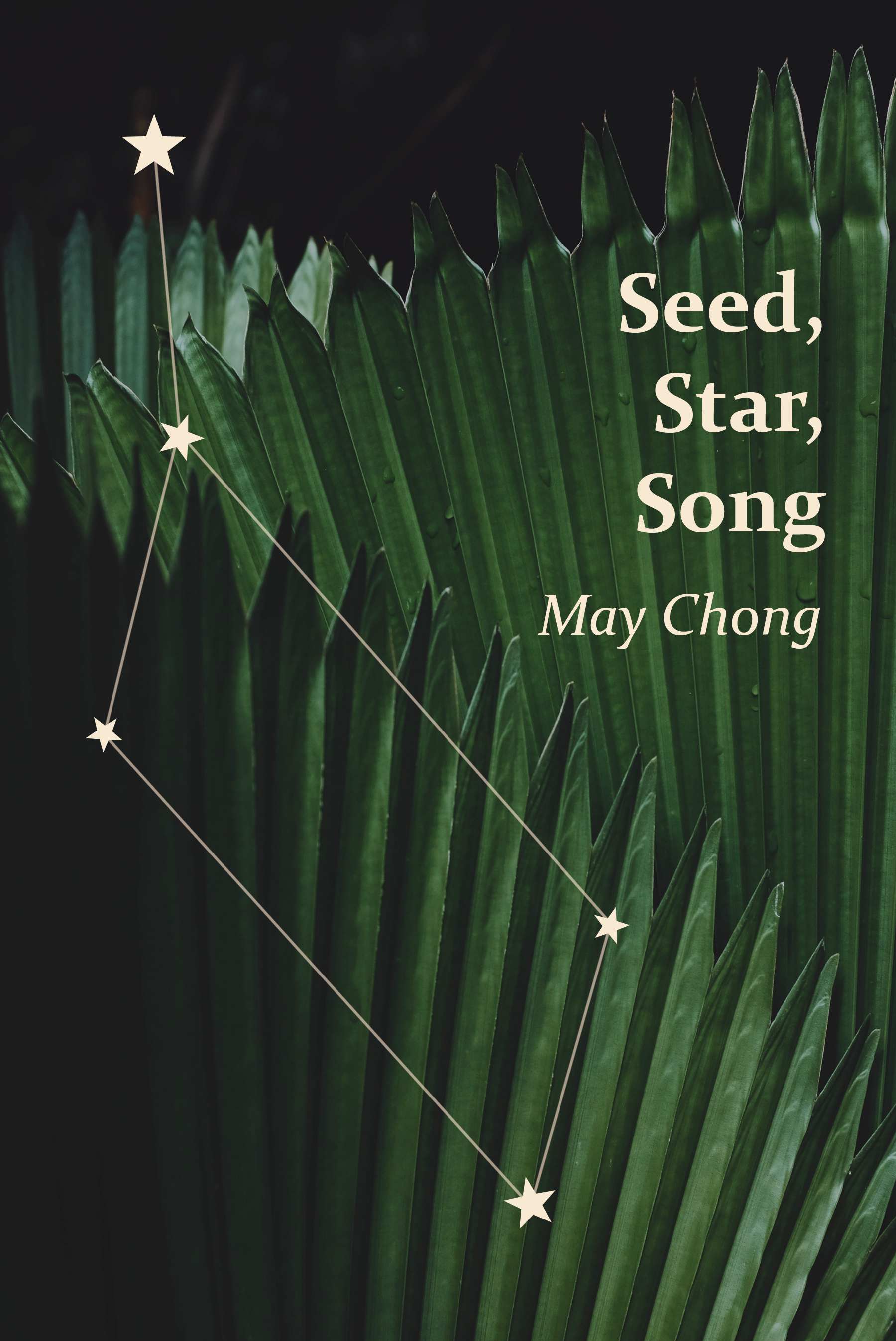 Seed, Star, Song (ebook)
