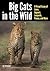 Big Cats in the Wild: A Vis...