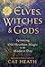 Elves, Witches & Gods: Spin...