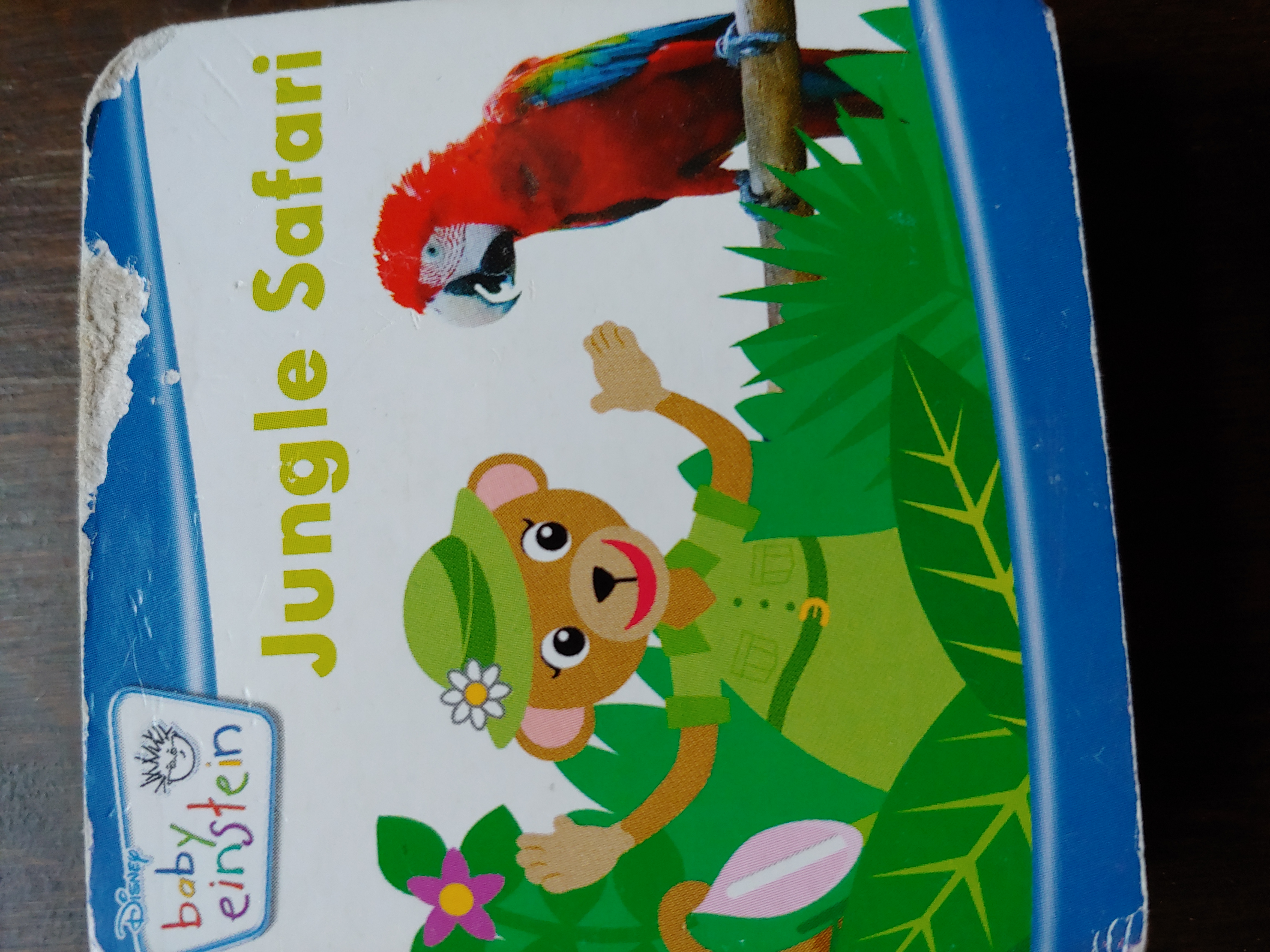 Jungle Safari