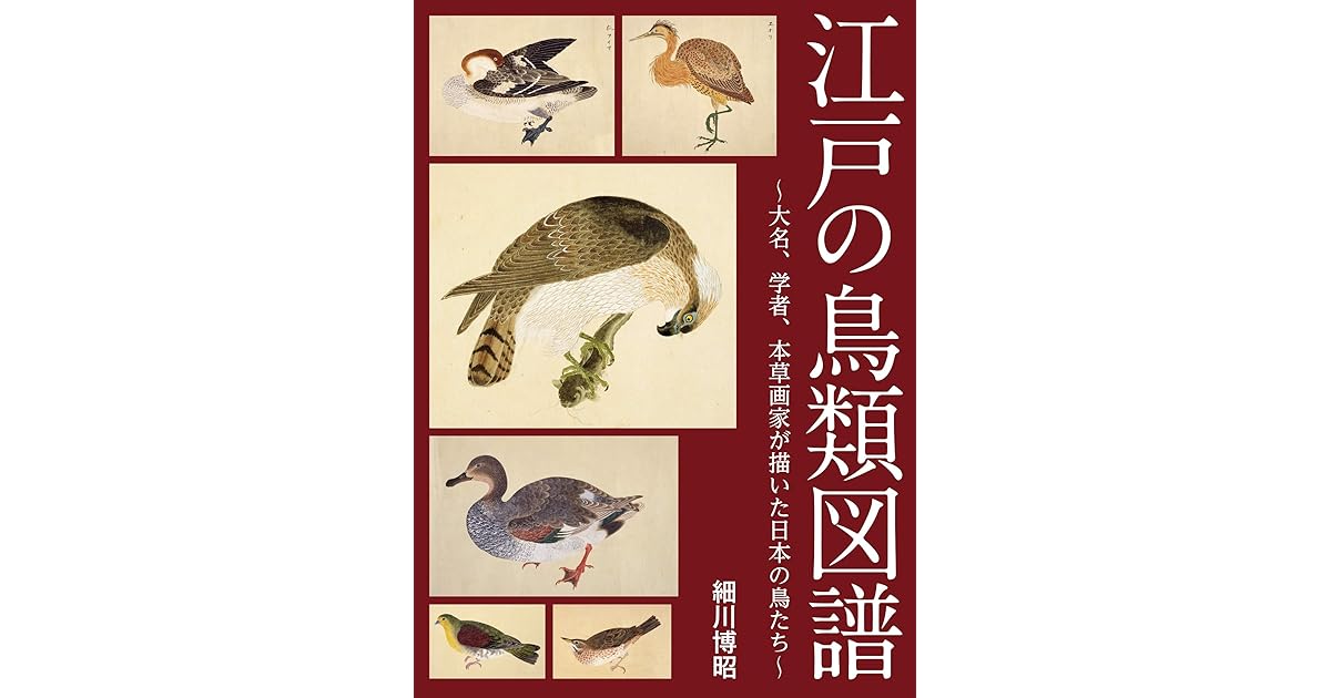 江戸の鳥類図譜 大名 学者 本草画家が描いた日本の鳥たち By 細川博昭 江戸の鳥類図譜 大名 学者 本草画家が描いた日本の鳥たち By 細川博昭