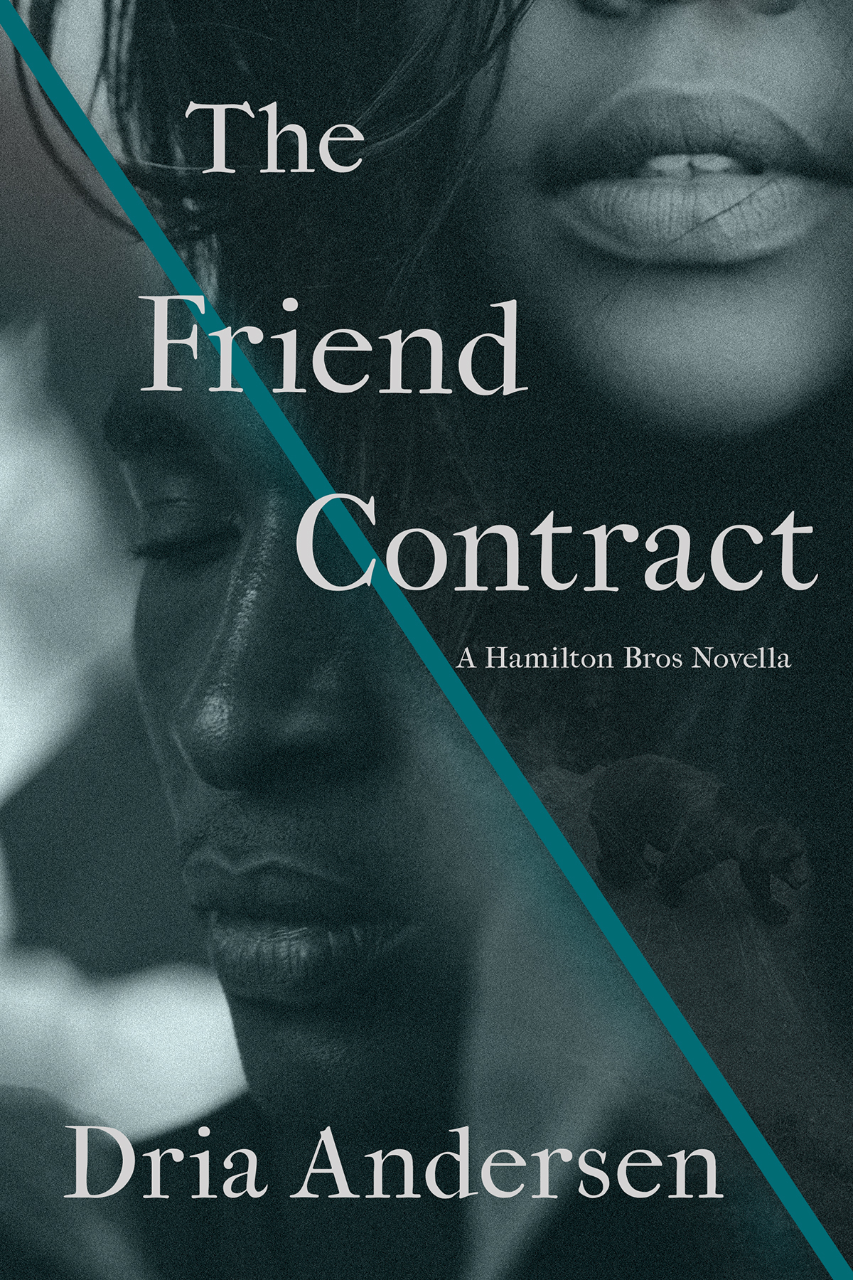 The Friend Contract (Hamilton Brothers, #1)