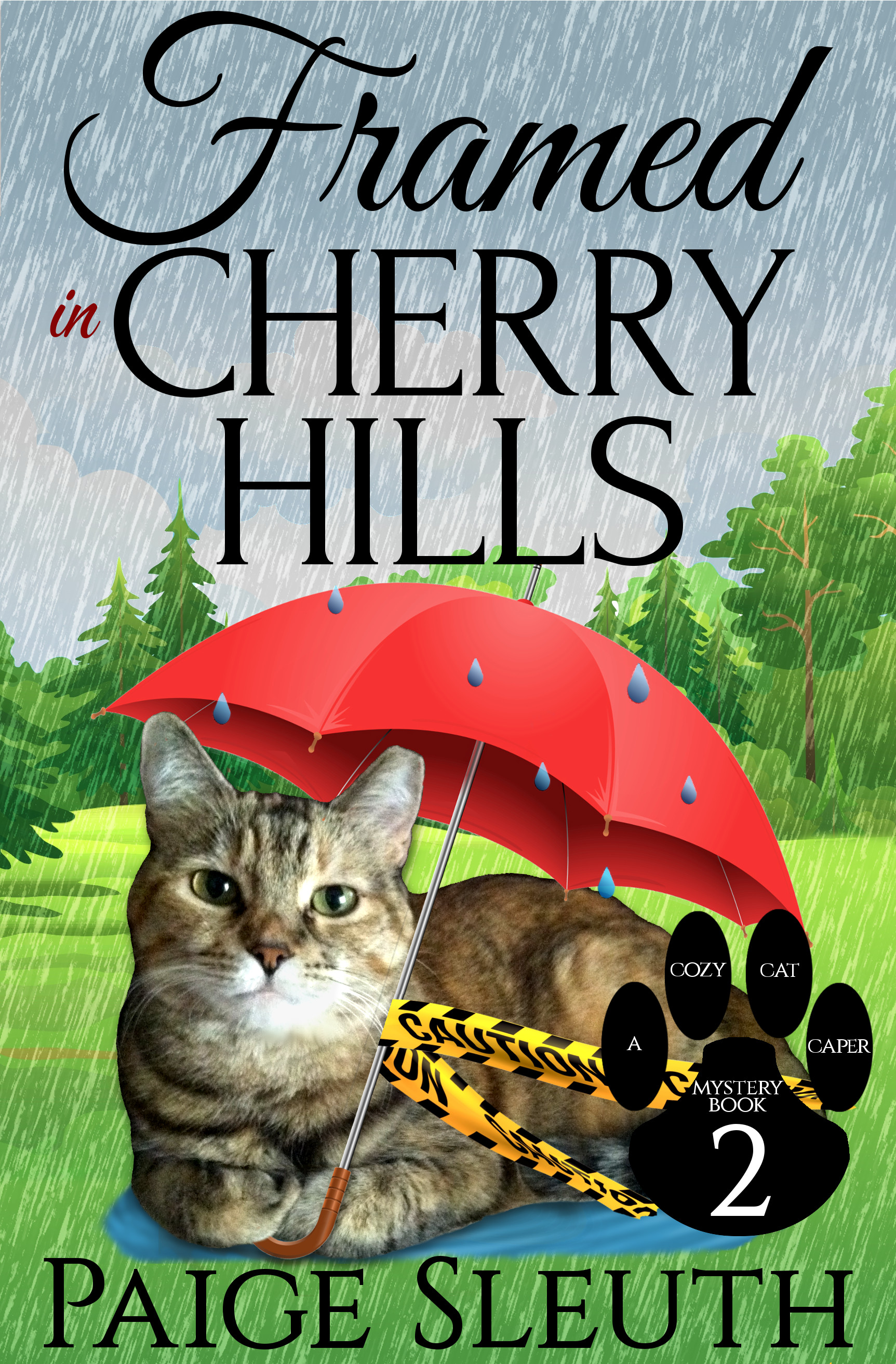 Framed in Cherry Hills (Cozy Cat Caper Mystery, #2)
