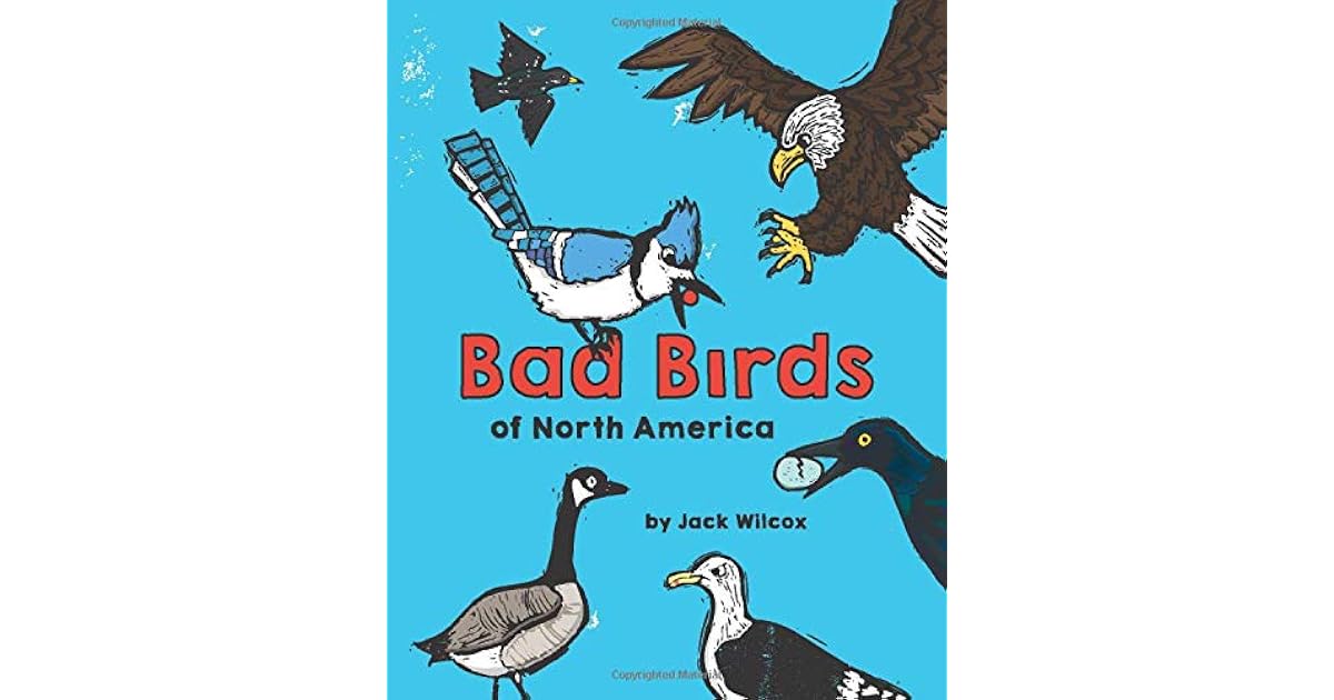 Bad Birds of North America by Jack Wilcox