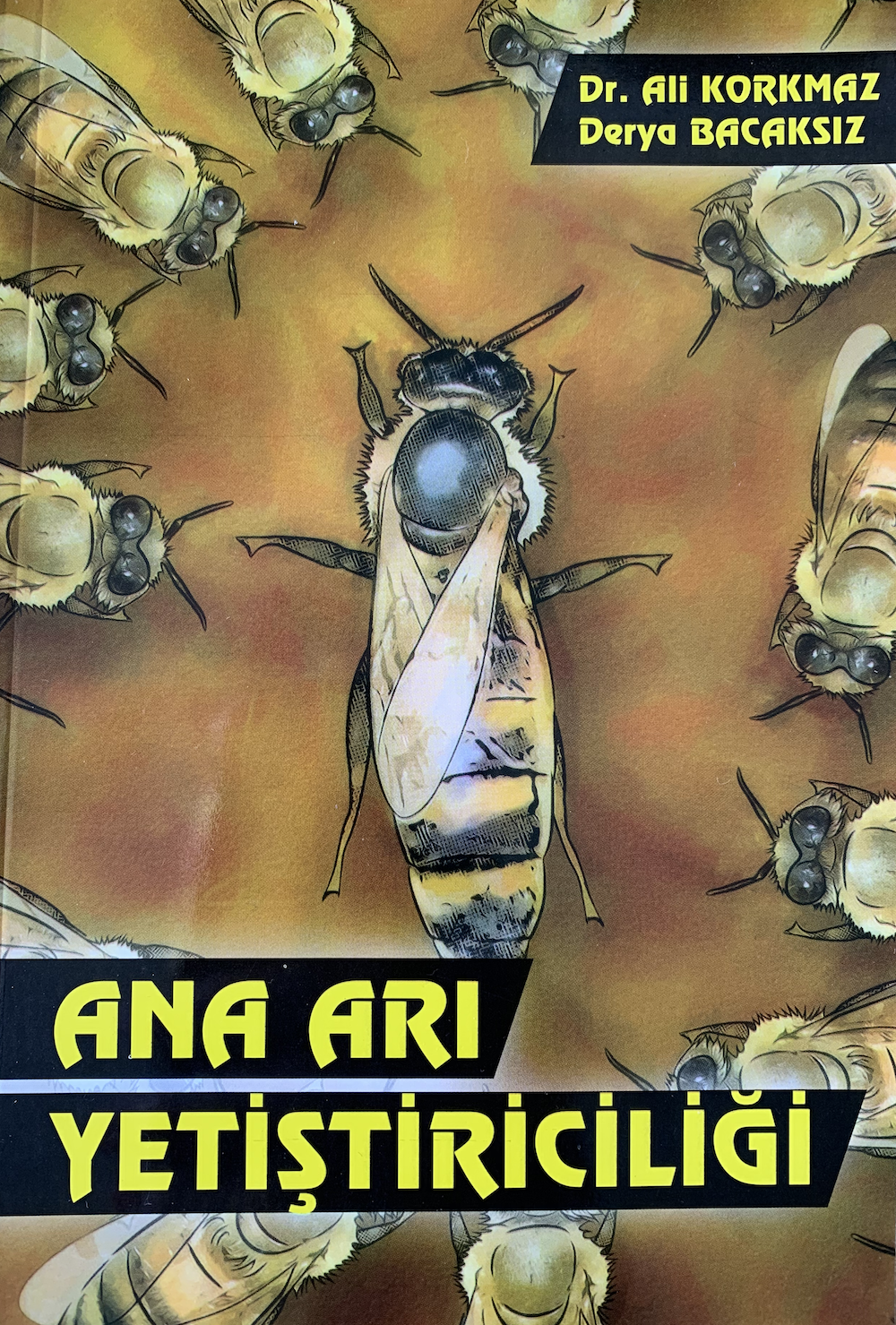Ana Arı Yetiştiriciliği