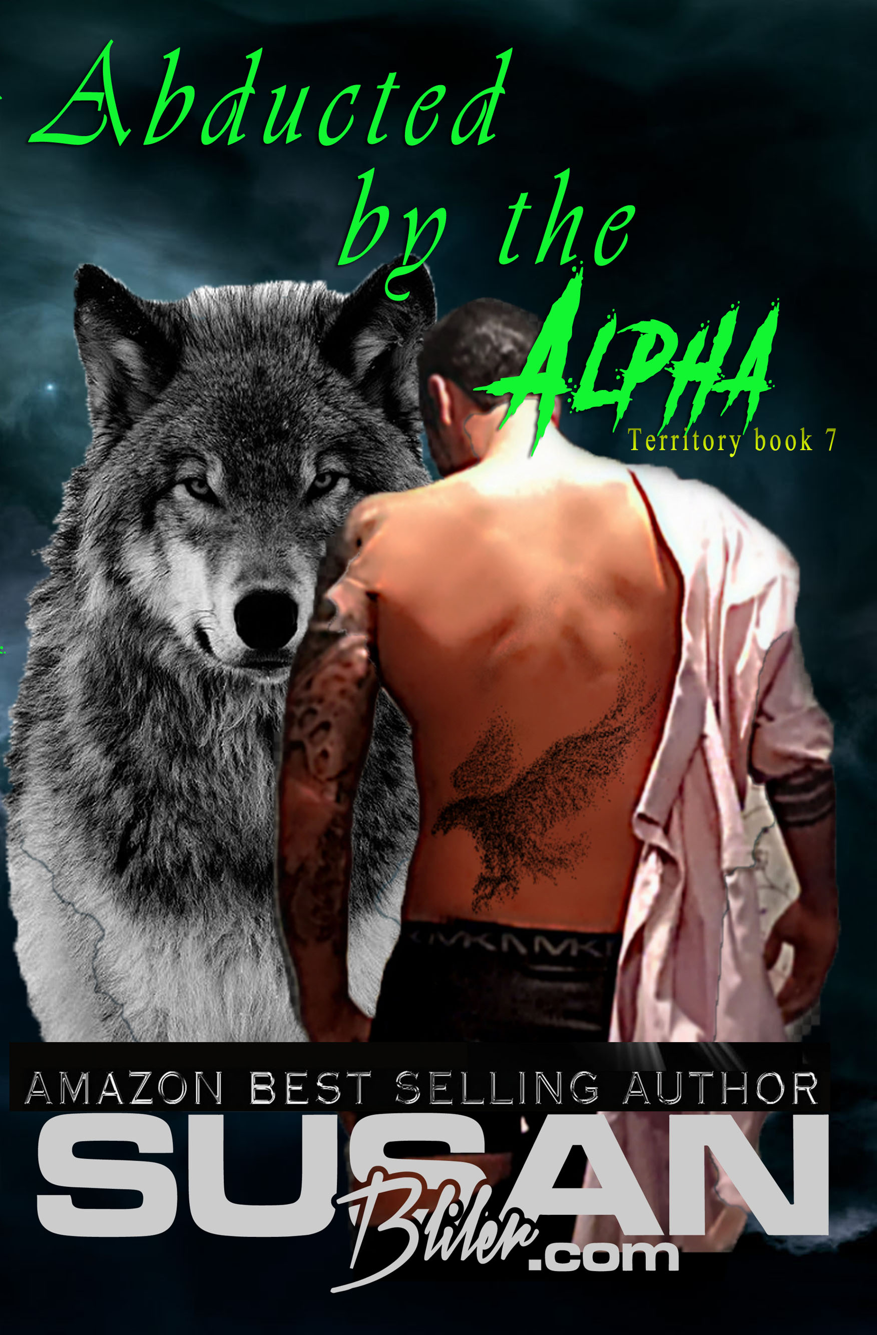 Abducted by the Alpha (Territory, #7)