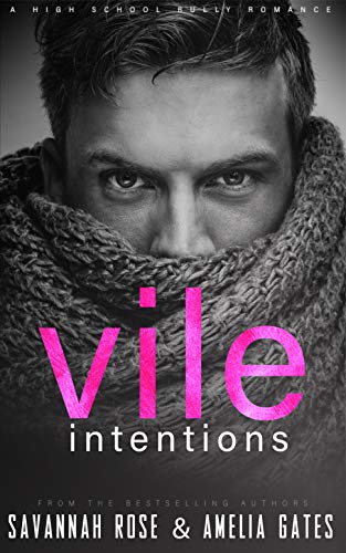 Vile Intentions (Ruthless Bullies, #1)