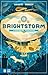 Brightstorm. Podniebna wyprawa