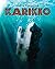 Karikko
