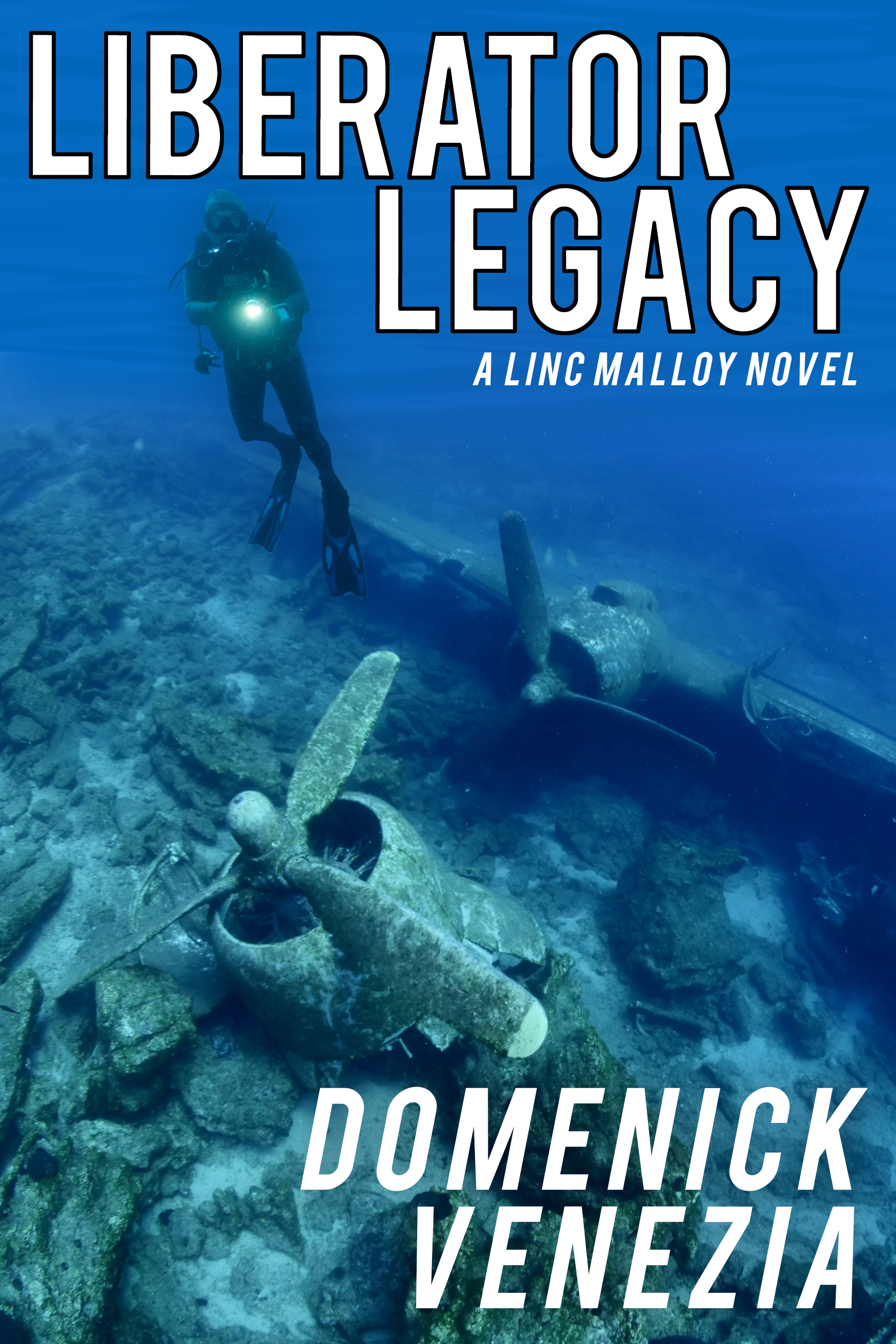 Liberator Legacy (Linc Malloy Legacies, #1)