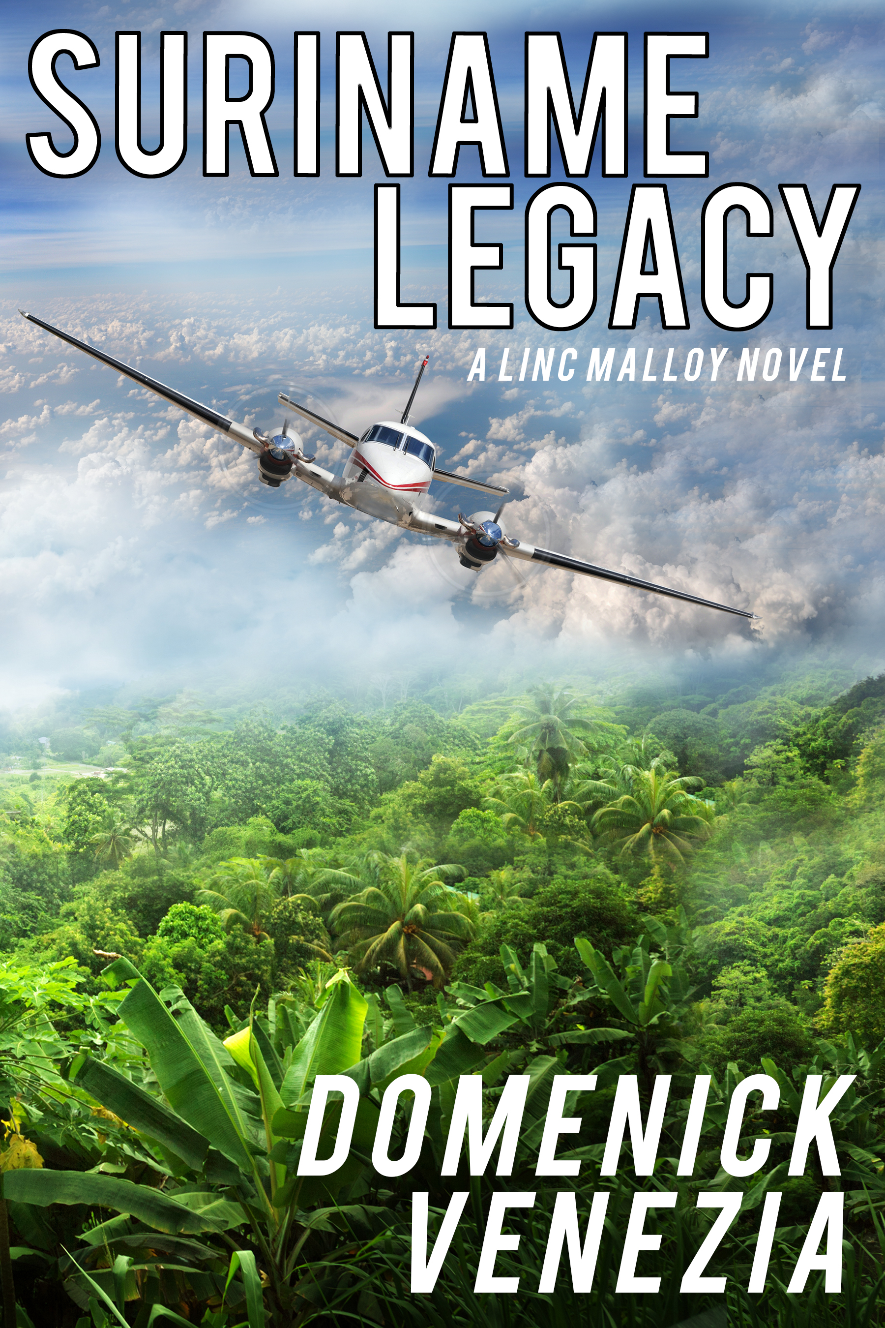 Suriname Legacy (Linc Malloy Legacies #3)