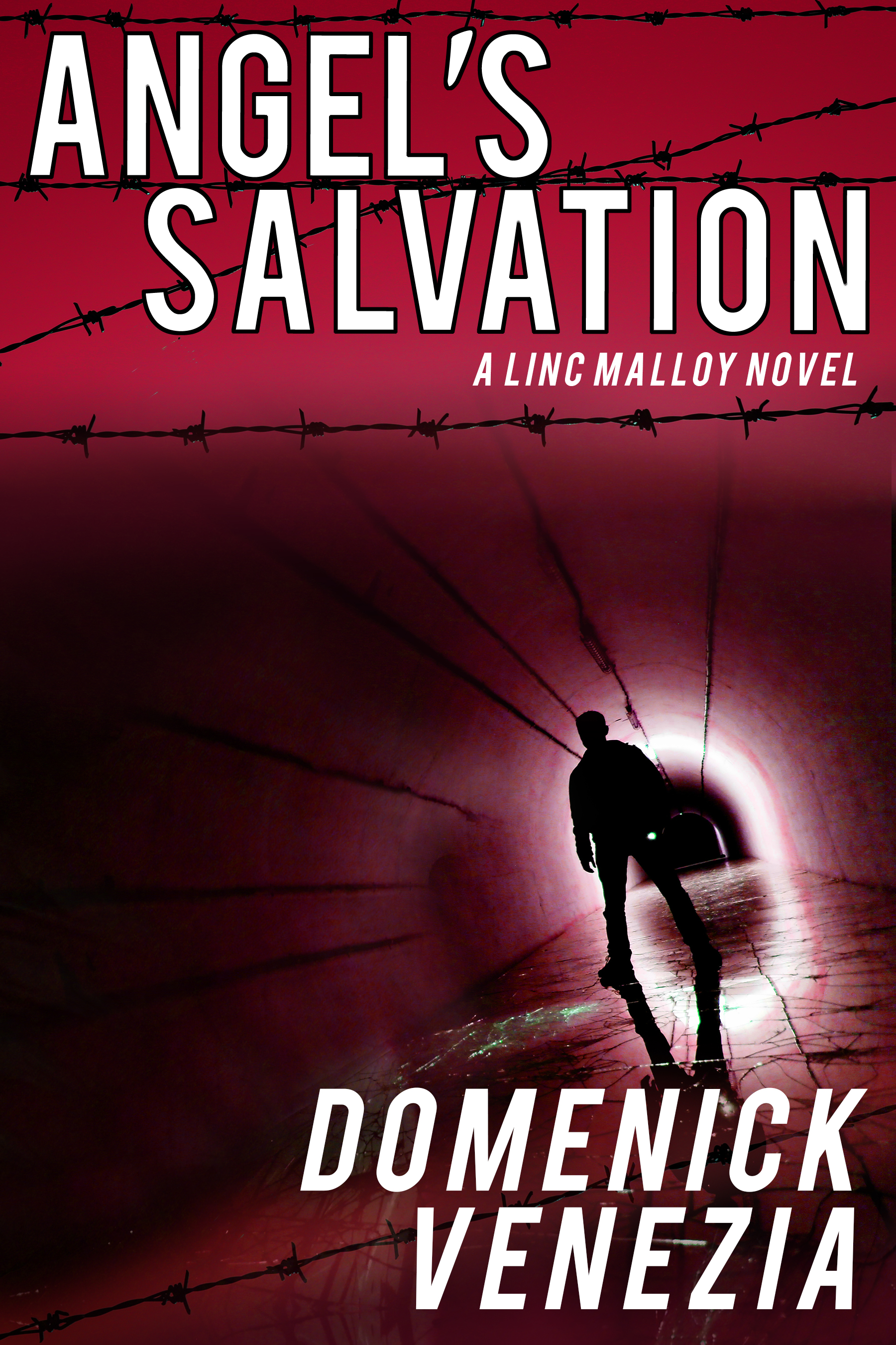 Angel's Salvation (Linc Malloy Legacies #4)