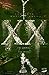 XX - my sinner, my saint (X...
