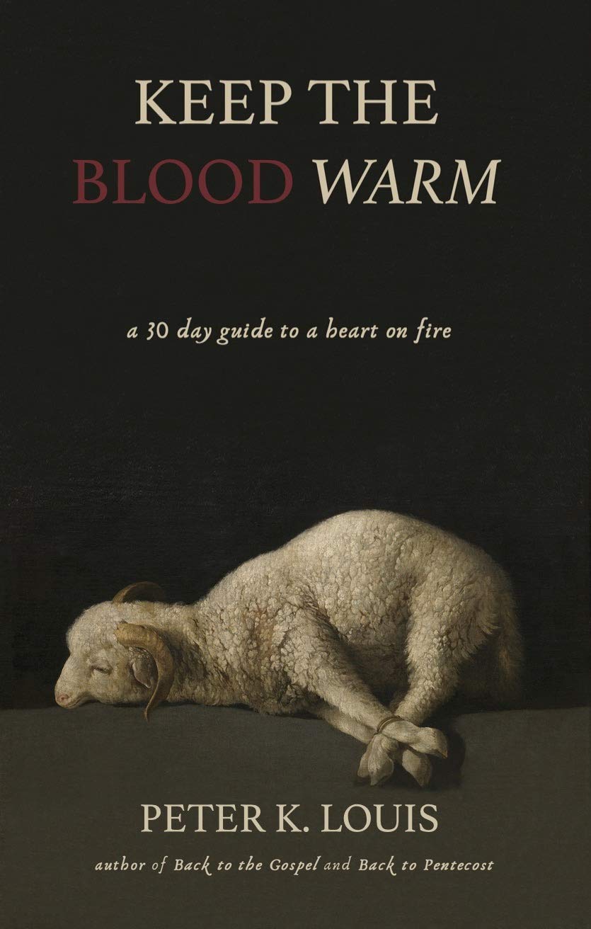 Keep the Blood Warm: A 30 Day Guide to a Heart on Fire (Kindle Edition)