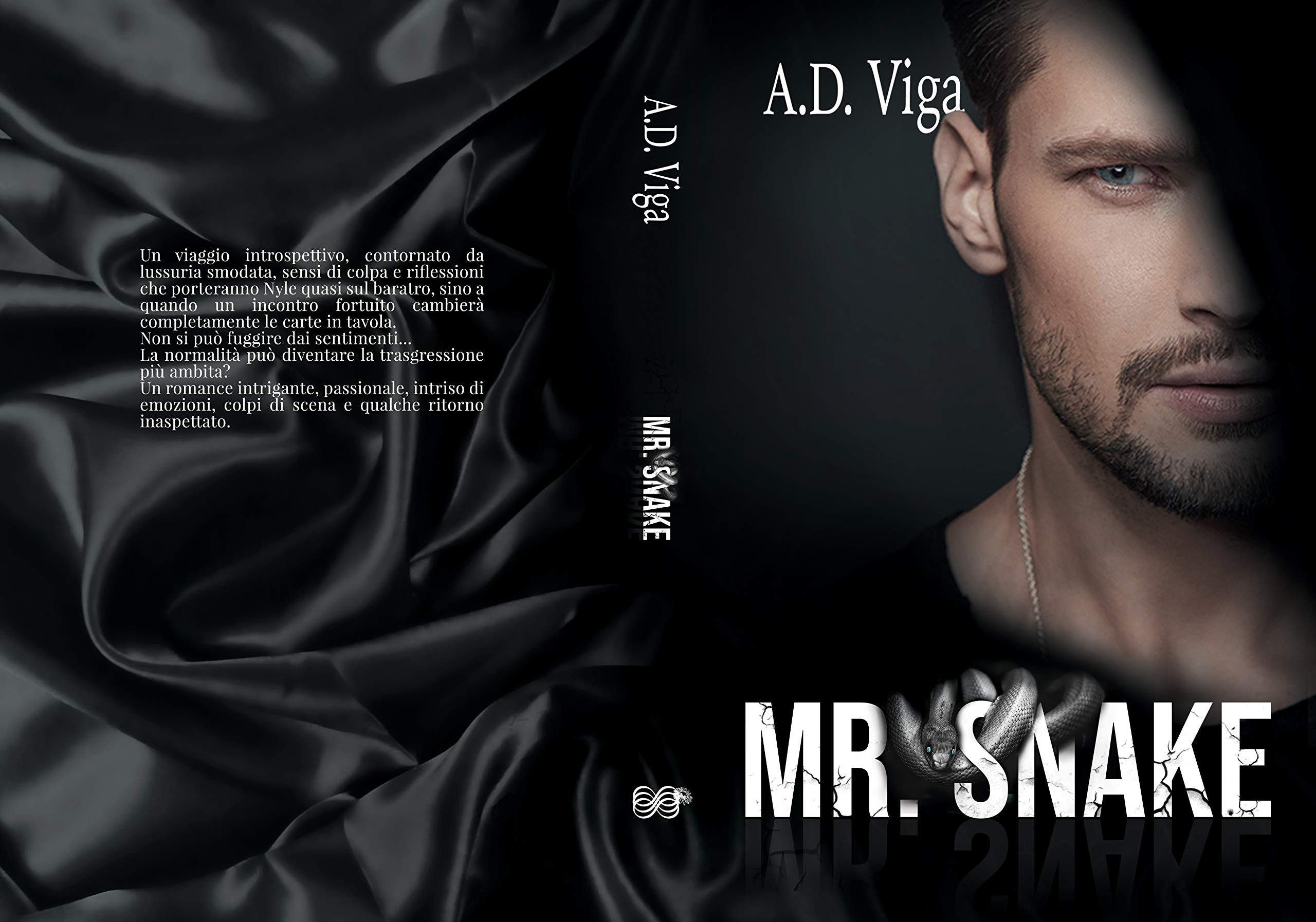 Mr Snake (Kindle Edition)