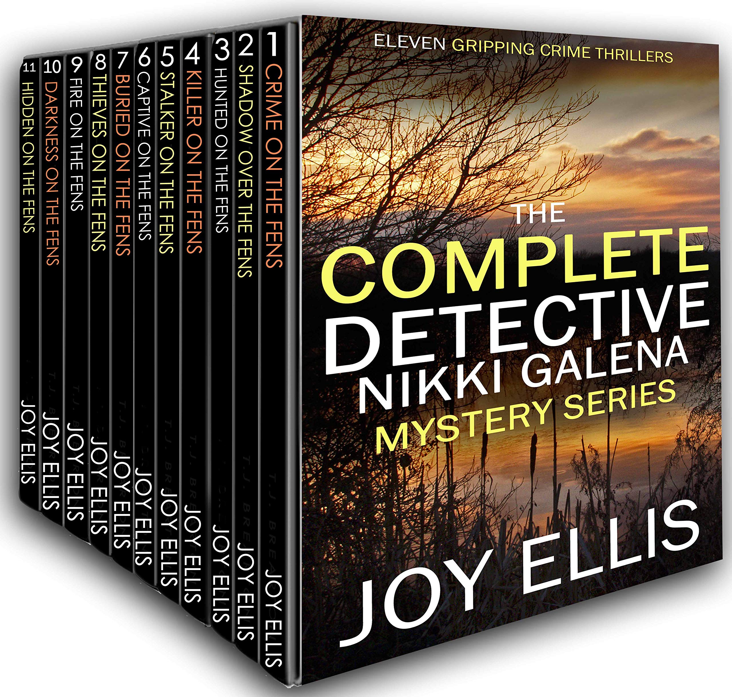 The Complete Detective Nikki Galena Mystery Series (DI Nikki Galena #1-11)