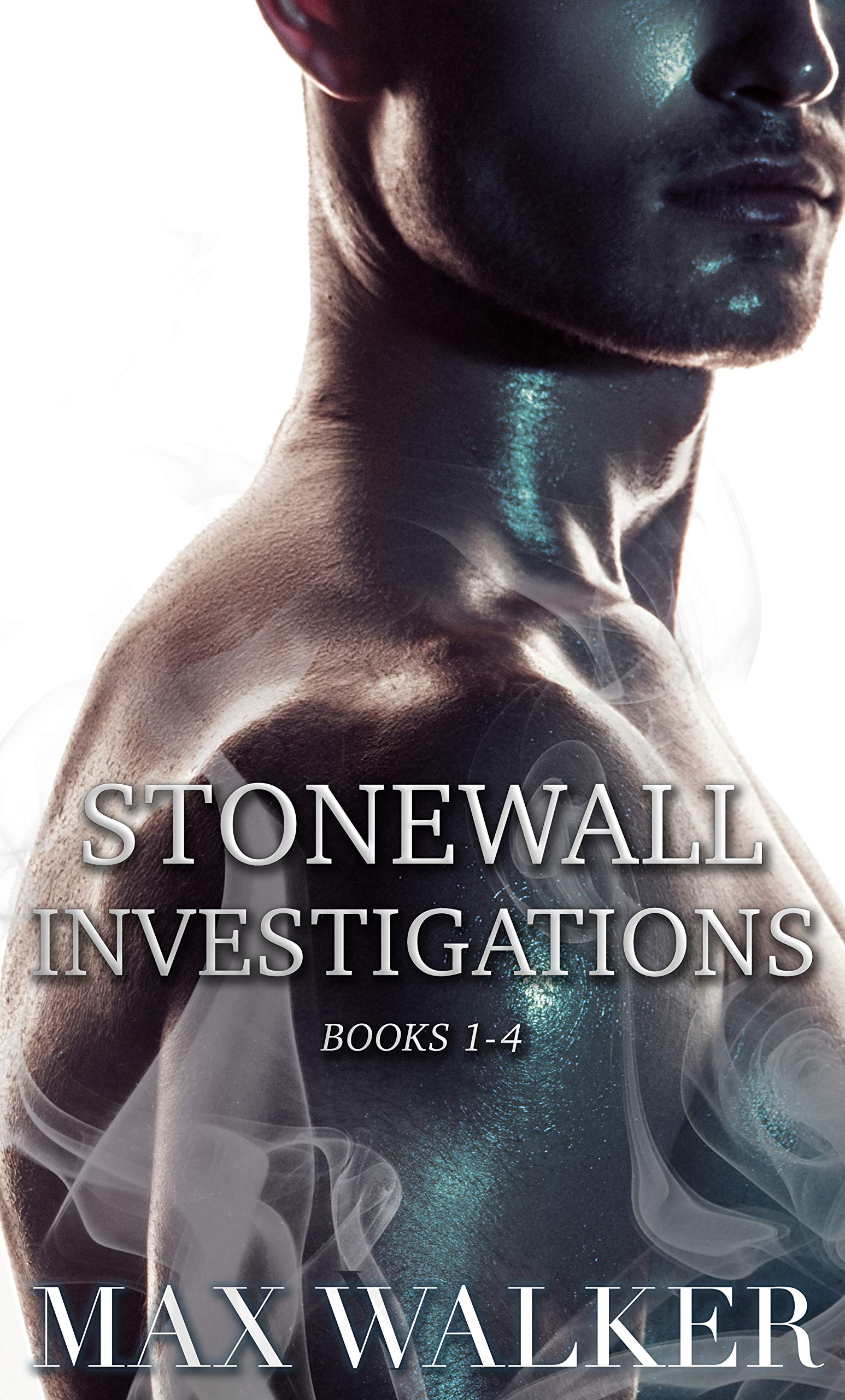 Stonewall Investigation: Books 1-4 (Kindle Edition)
